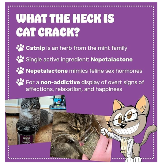 Cat Crack Catnip