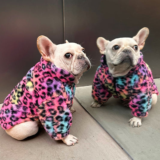 Colourful Leopard Print Velvet Coat