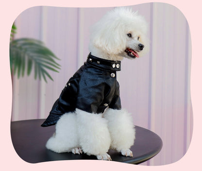 Cool Leather Jacket with Studs
