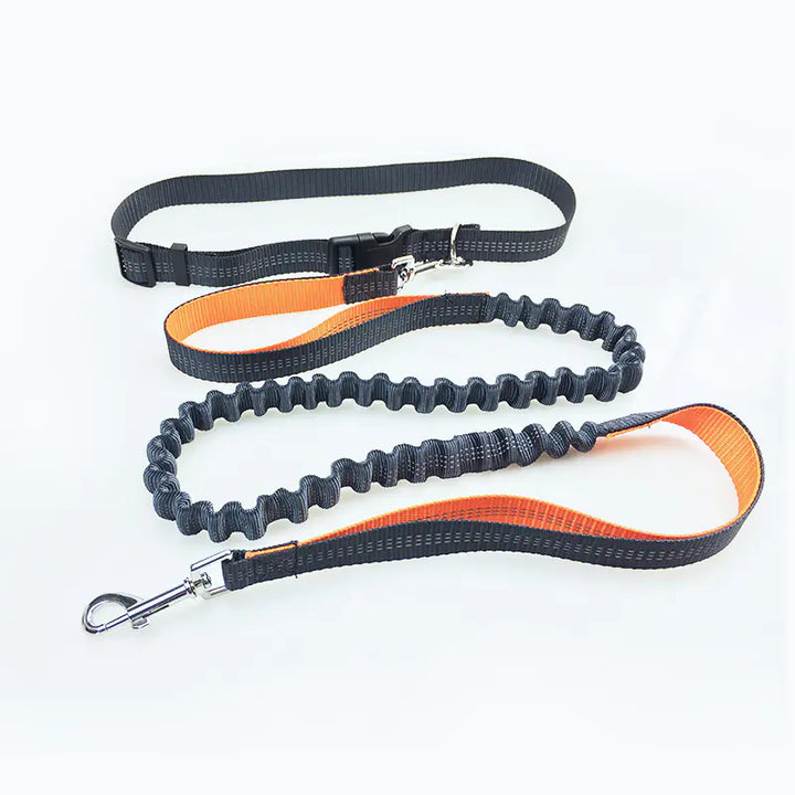 Hands Free Belt Leash for Running