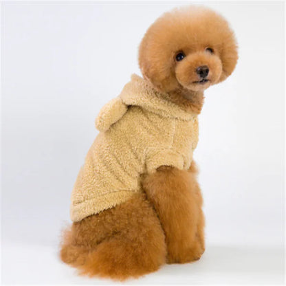 Fluffy Hoodie with Ears