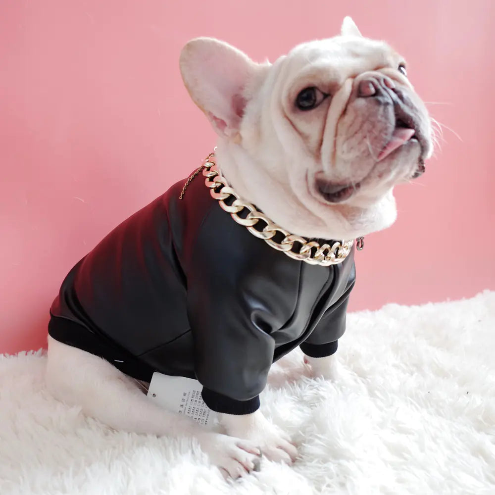 Zipper Stretch PU Leather Jacket