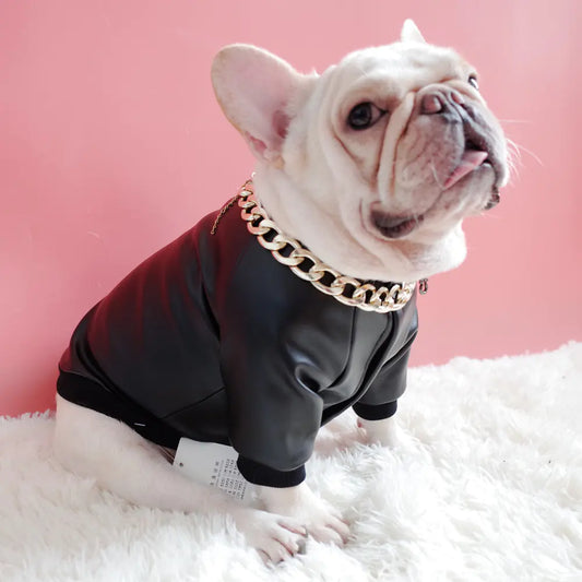 Zipper Stretch PU Leather Jacket