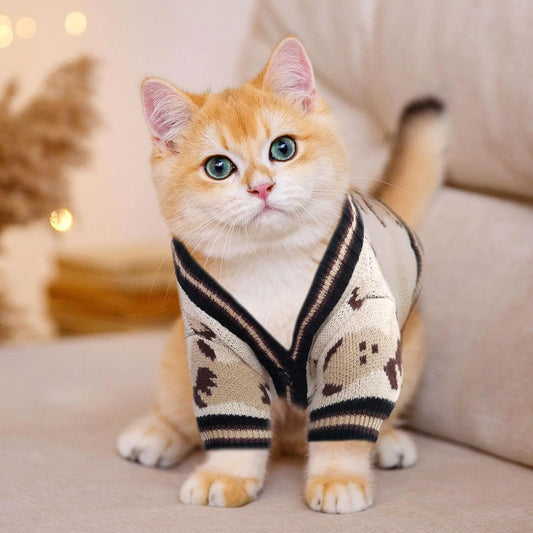 Preppy V-neck Bear Sweater