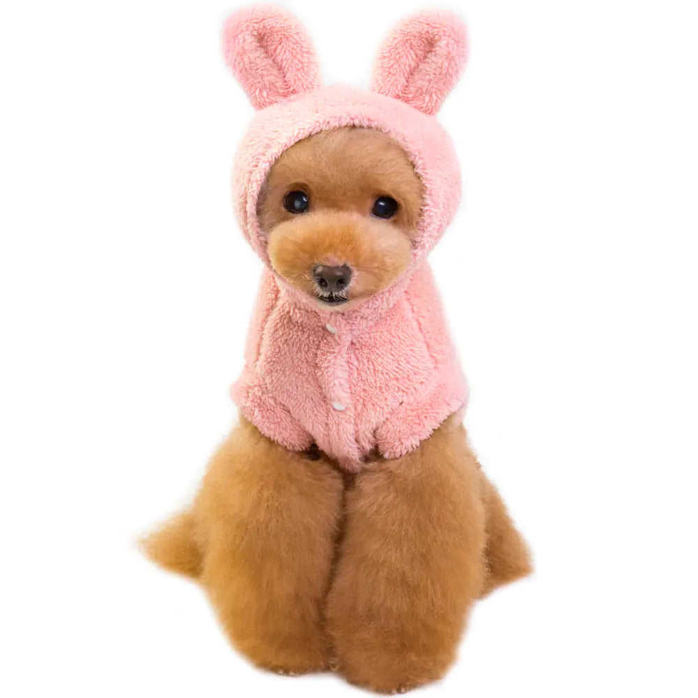 Fluffy Hoodie with Ears