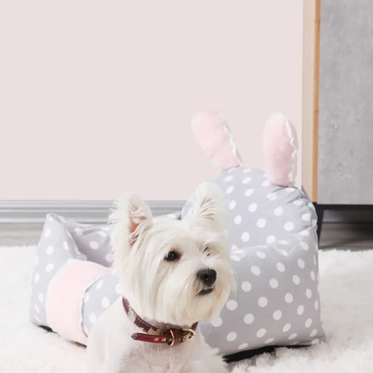 Universal Washable Bed