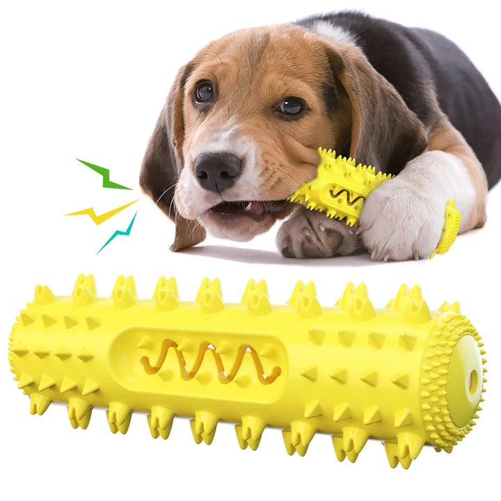 Molar Dental Chew Toy