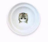 Spine Protection Bowl and Stand