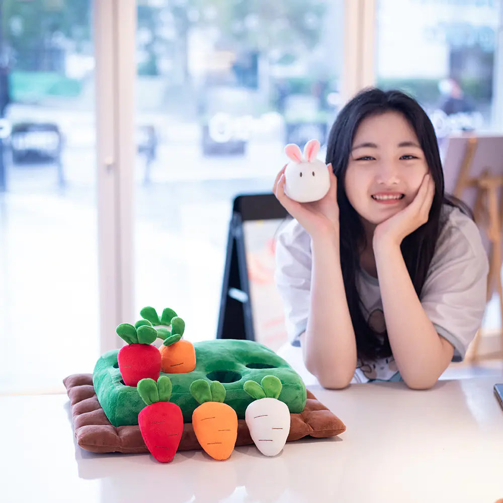 Hide and Seek Plush Toy