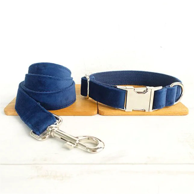 Blue Velvet Bow, Collar & Leash Set
