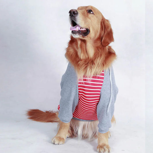 Stripped Hoodie