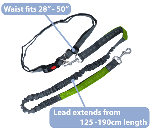 Hands Free Belt Leash for Running