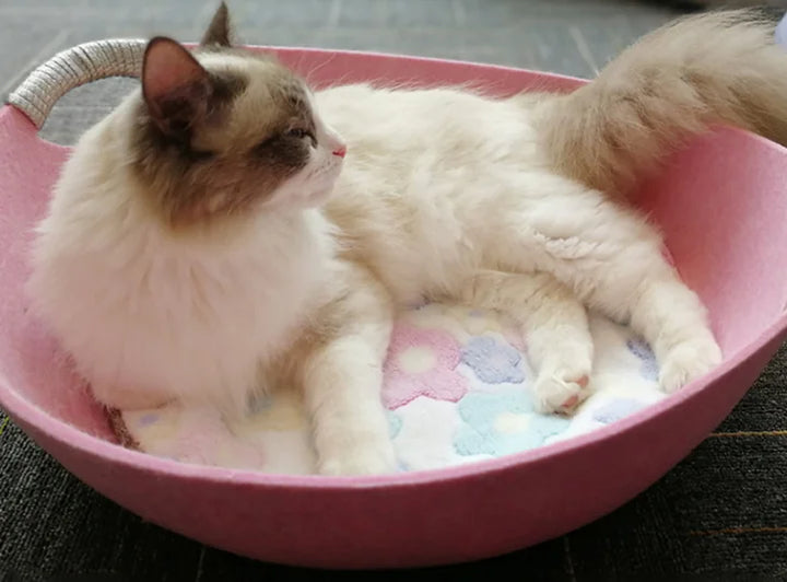 Felt Bowl Cat Bed