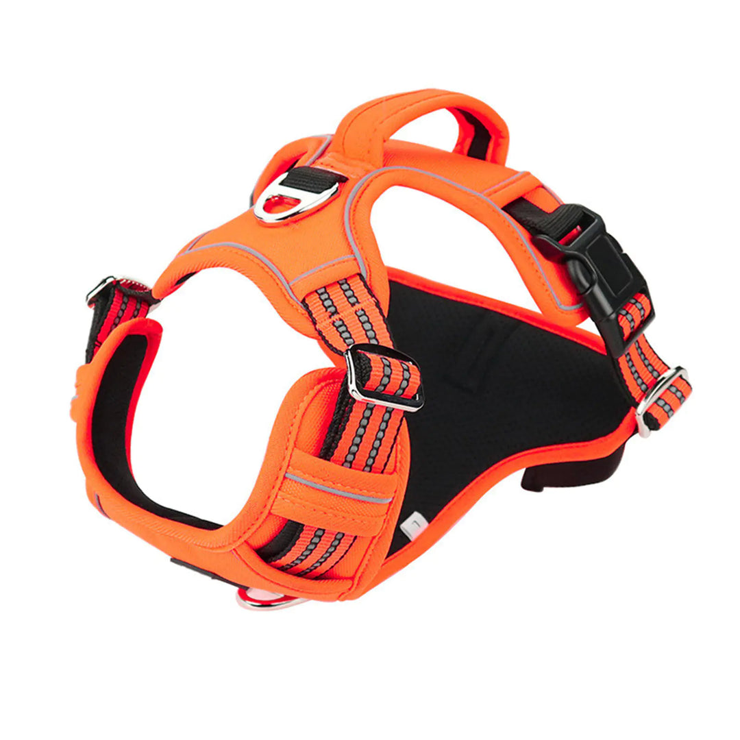 Waterproof Reflective Harness with Handle