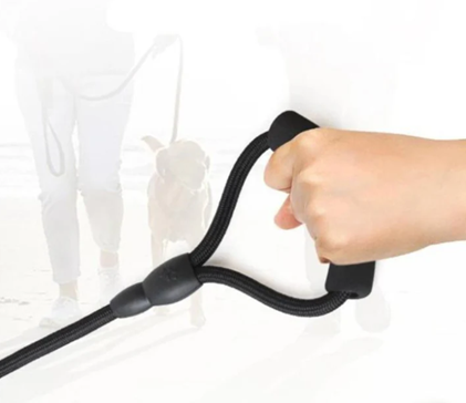 Three Dogs Leash