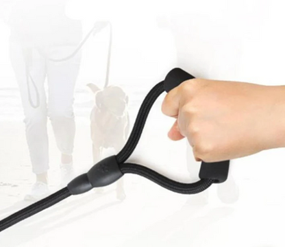 Three Dogs Leash