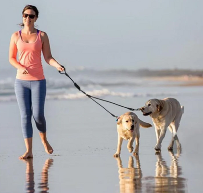 Three Dogs Leash