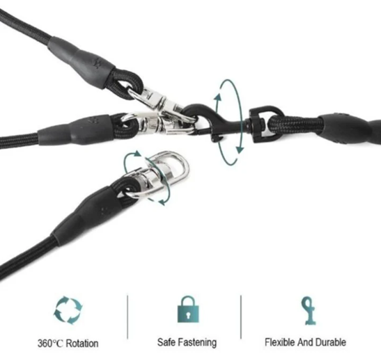 Three Dogs Leash