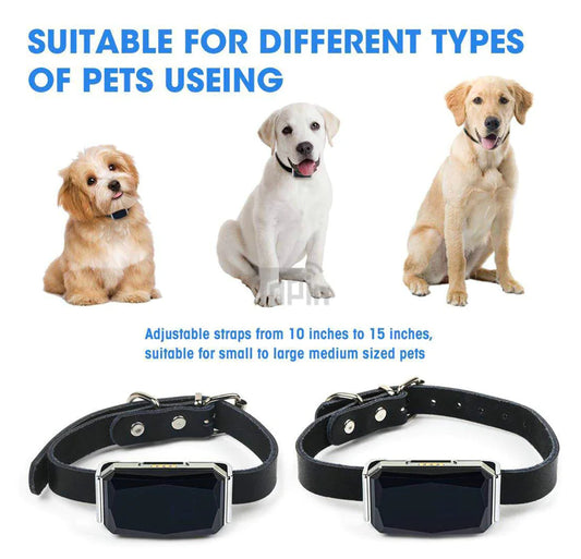 Collar Tracking Device