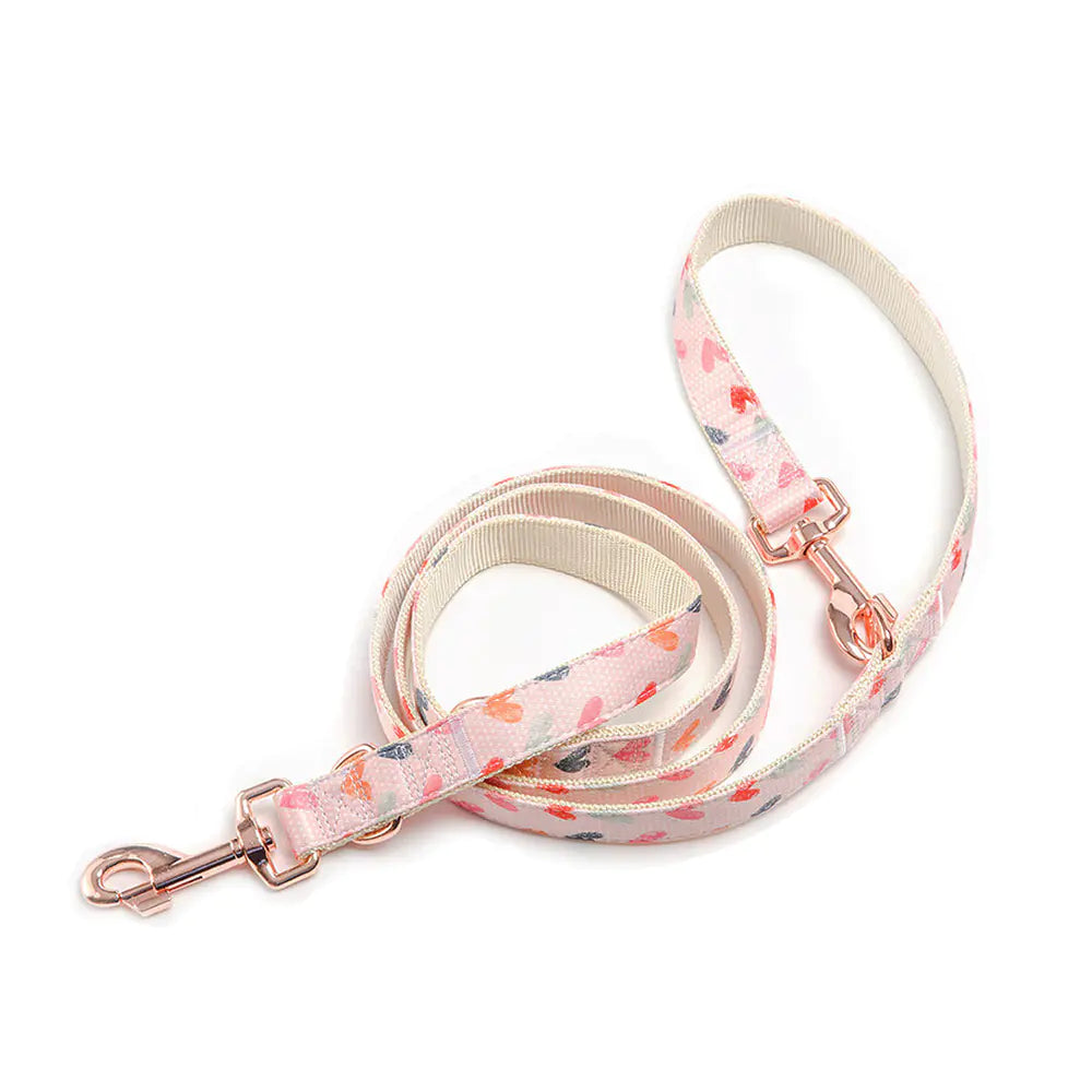 Heart Pattern Collar, Bow and Leash Set