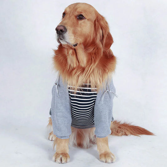 Stripped Hoodie