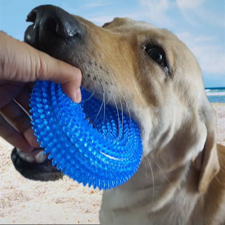 Chew Resistant Squeaky Ball