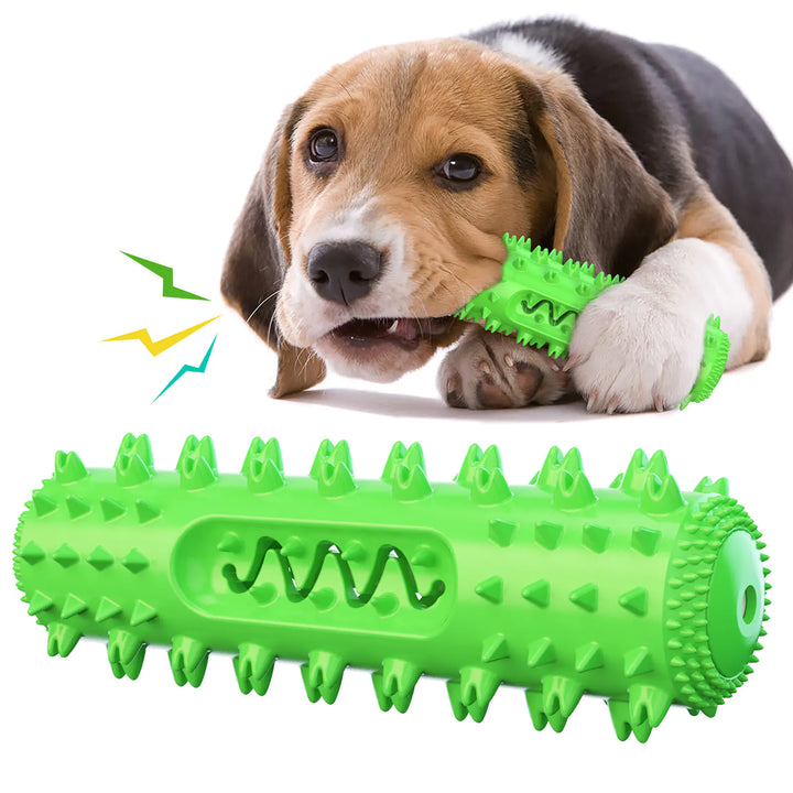 Molar Dental Chew Toy