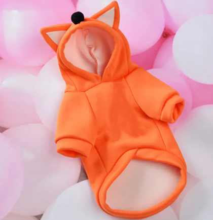 Coloured Hoodie with Ears