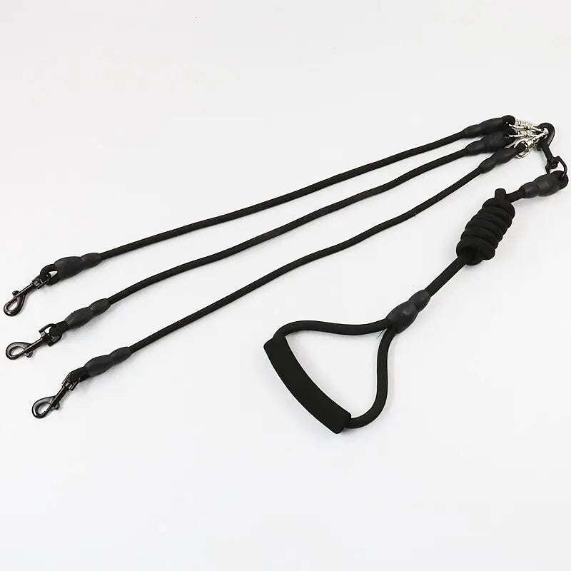 Three Dogs Leash