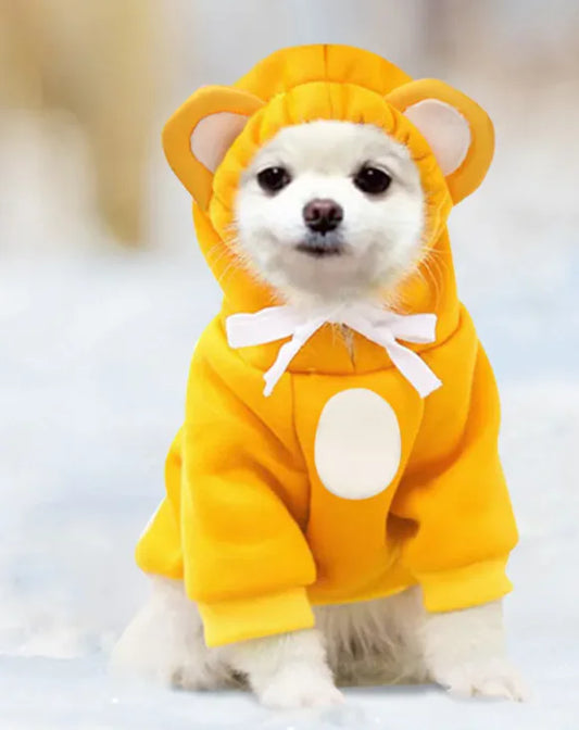 Coloured Hoodie with Ears