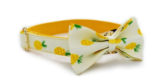 Yellow Pineapple Nylon Collar Set