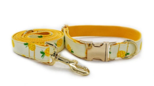 Yellow Pineapple Nylon Collar Set