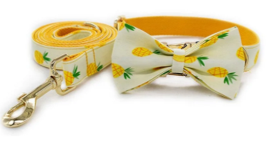 Yellow Pineapple Nylon Collar Set