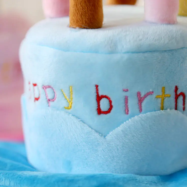 Cute Birthday Cake Hat