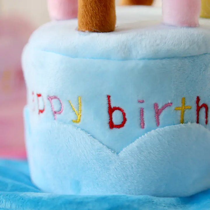 Cute Birthday Cake Hat