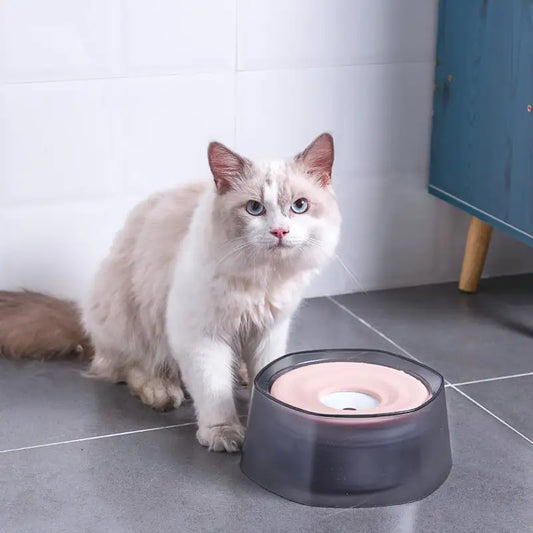 Splash Proof Water Bowl