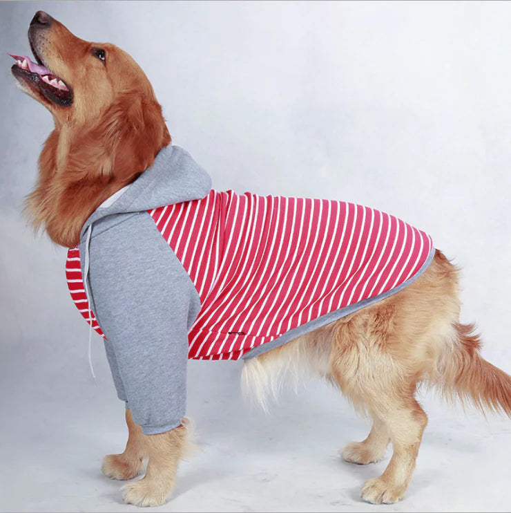 Stripped Hoodie