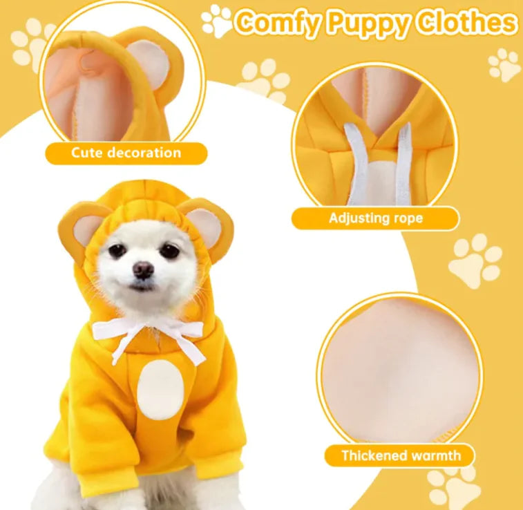 Coloured Hoodie with Ears