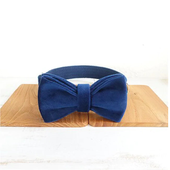 Blue Velvet Bow, Collar & Leash Set