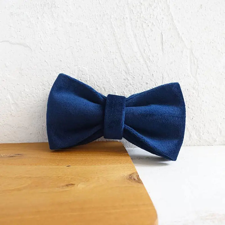 Blue Velvet Bow, Collar & Leash Set