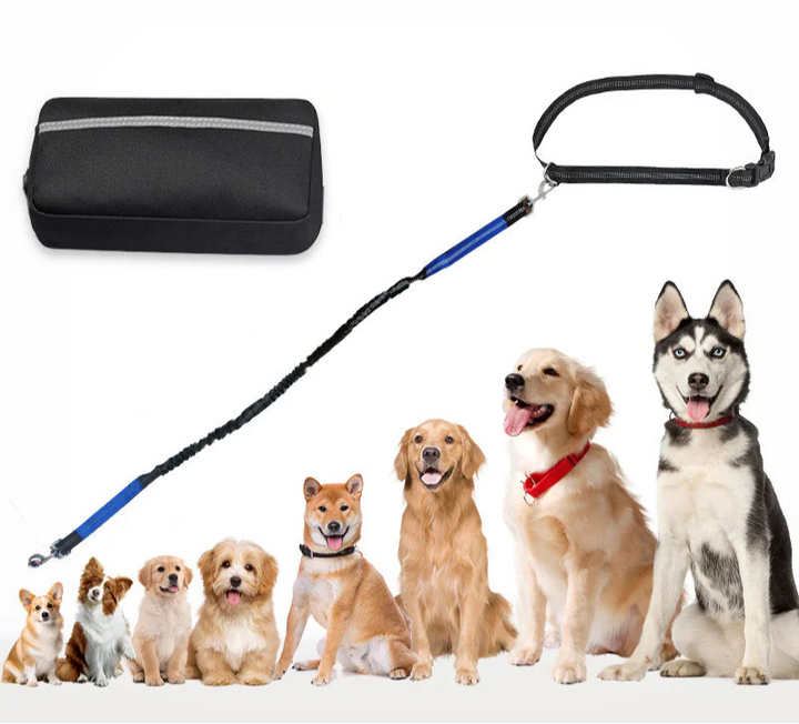 Running Waist Bag with Leash