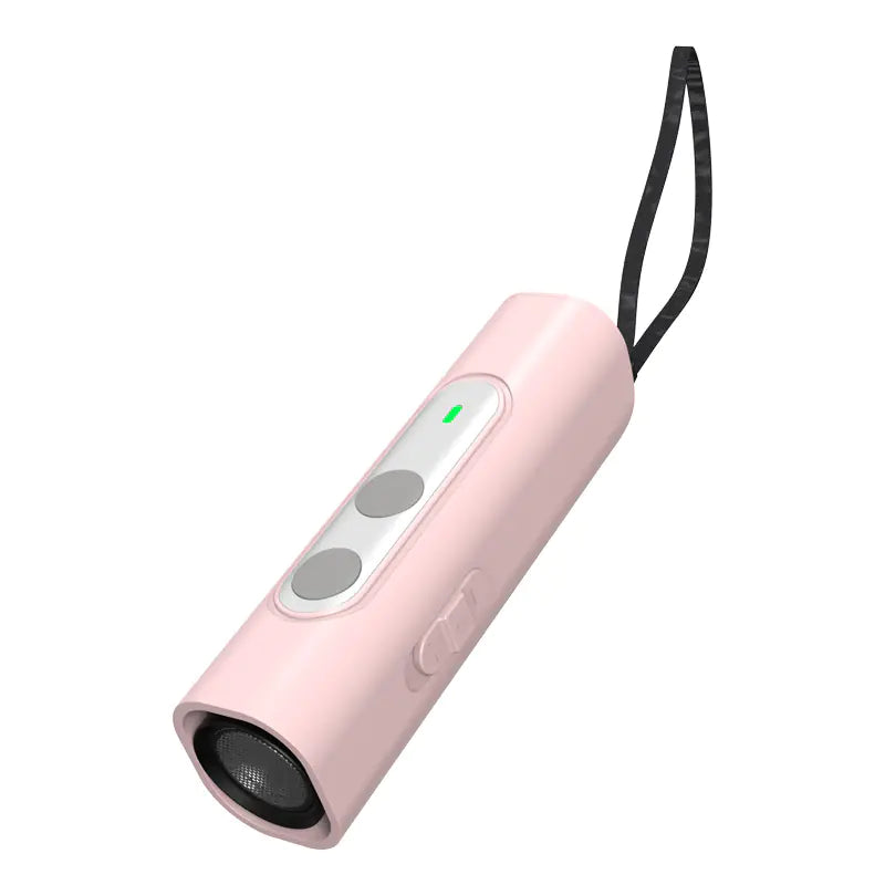 Ultrasonic Training Device with Flashlight