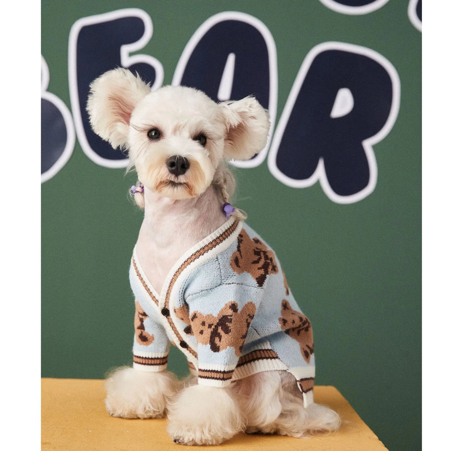 Preppy V-neck Bear Sweater