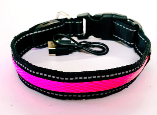LED Fluorescent Dog Leash & Collar